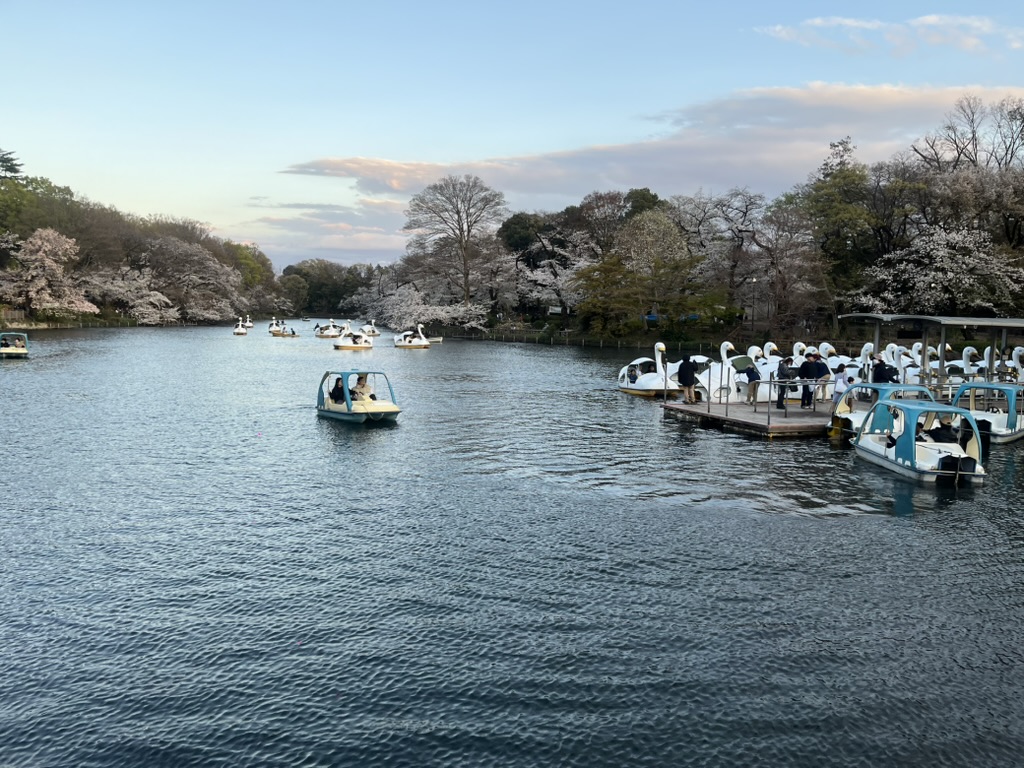 Inokashira Park